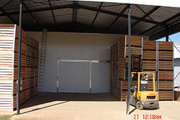david-kriel-2.jpg