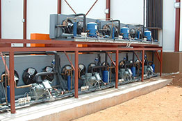 senn-foods-botswana.jpg